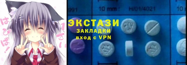 ECSTASY Бородино